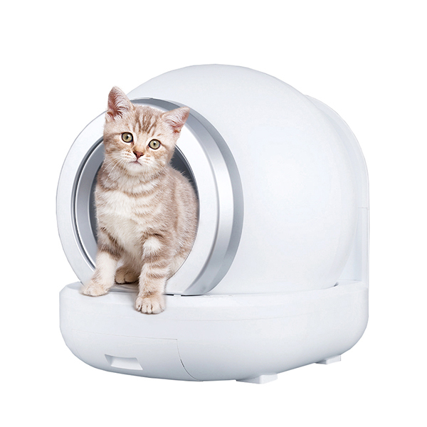 自動洗浄トイレ