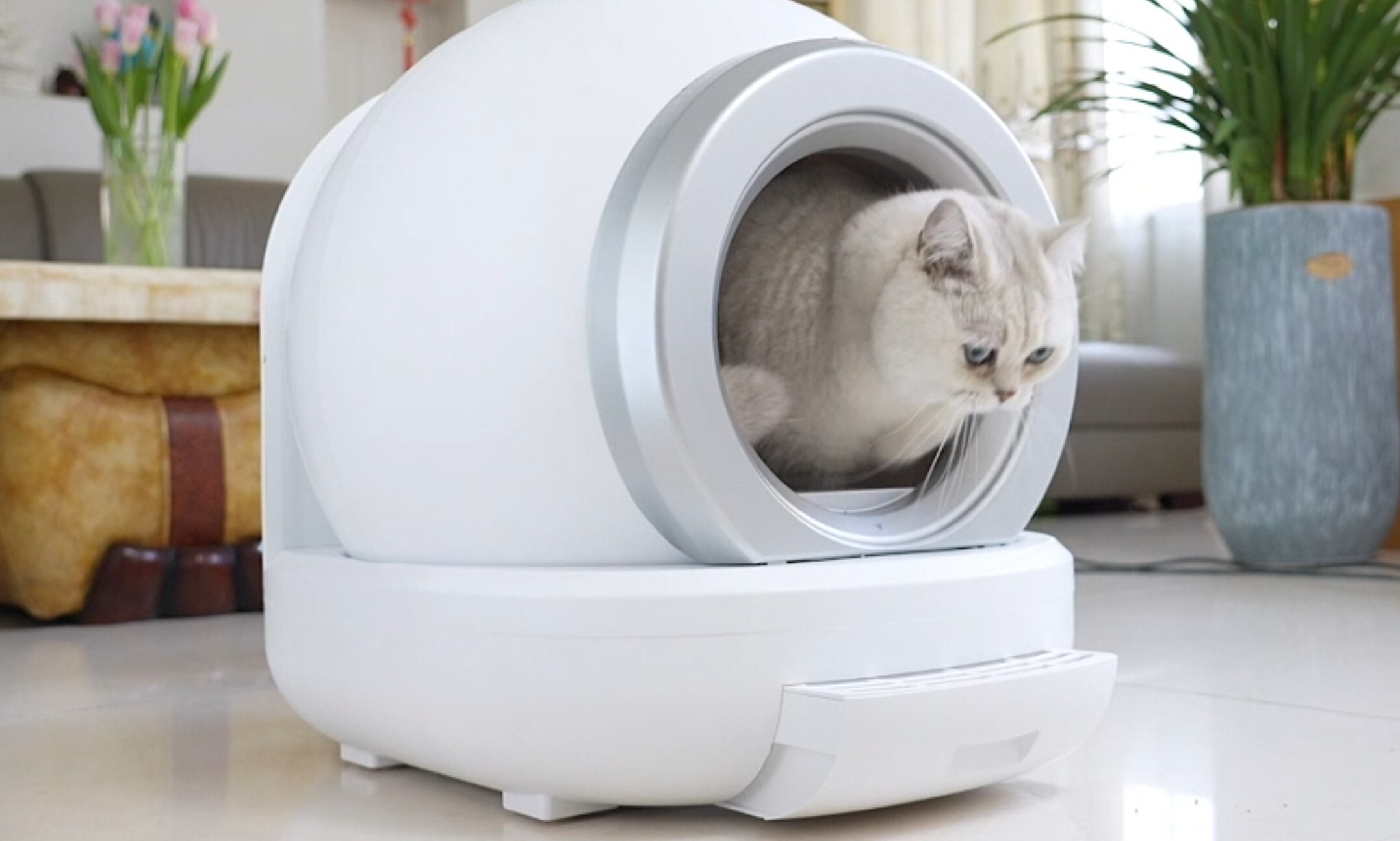 自動洗浄トイレ-3