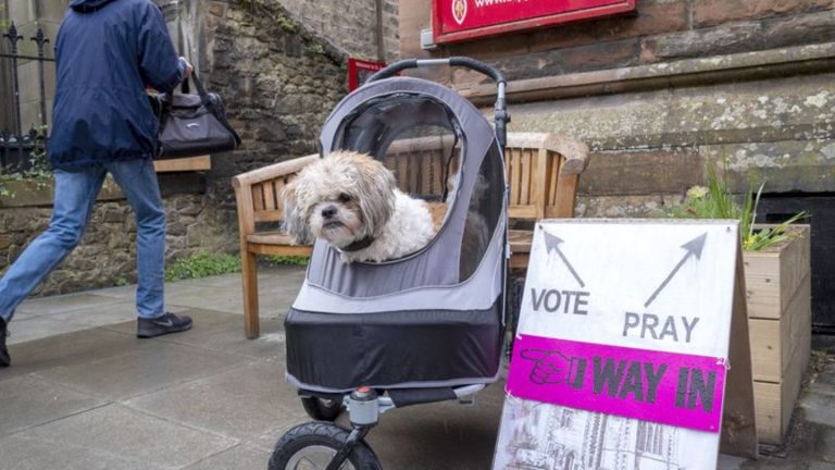 Wahlen: #DogsAtPollingStations: Tierische Wahl in Großbritannien