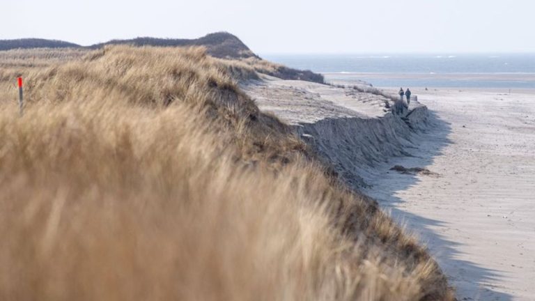 Schutz von Dünen und Deichen: Küstenschützer im Endspurt vor der Sturmflutsaison