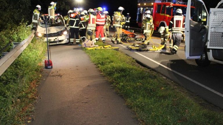 Verkehrsunglück: Taxi stößt mit Pferden zusammen – Fahrer und Tiere sterben