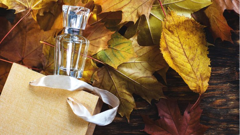 Parfum und Eau de Toilette: Würzig und opulent: Diese Düfte sind ideal für Herbst und Winter