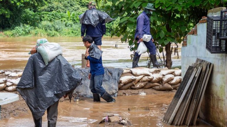 Land unter in Nordthailand: Wieder Überflutungen in Chiang Mai – 117 Elefanten gerettet