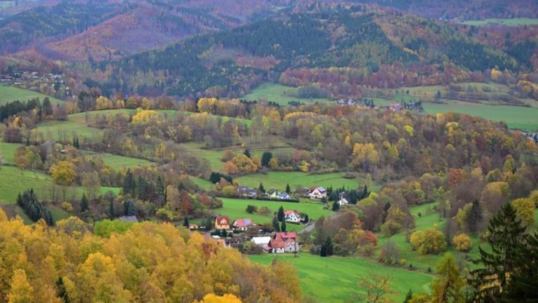 Waldinventur: Mischwald statt Fichtenkultur – Thüringens Wälder im Wandel