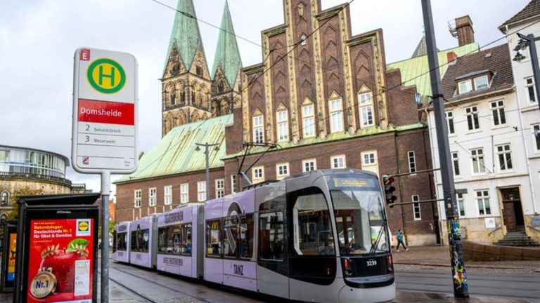 Schwarzbuch: Lastenrad bis Wasserstoff – Kritik an Steuerverschwendung