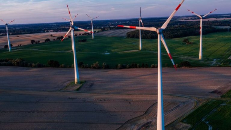 Erneuerbare Energien: Wo steht die Windkraft-Planung in MV? Treffen in Greifswald