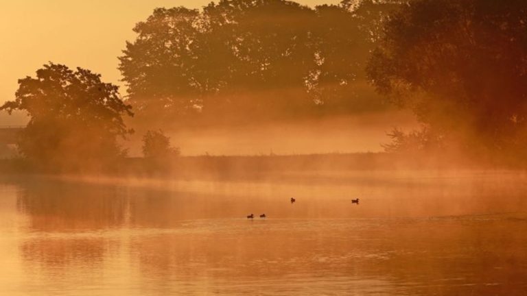 Wetter: Ruhiges Herbstwetter in Sachsen-Anhalt – nachts Bodenfrost