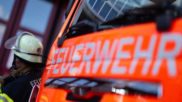 Zahlreiche Einsätze: Starker Wind: Umgestürzte Bäume in Berlin und Brandenburg