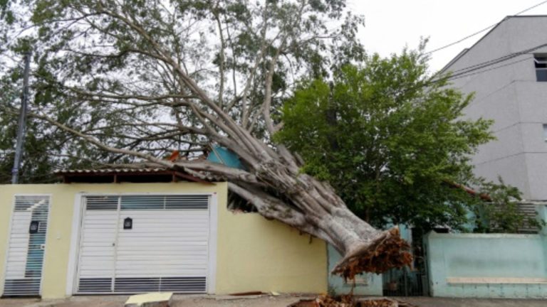 Nach Dürre: Acht Tote und Stromausfälle durch heftige Regenfälle in Brasilien