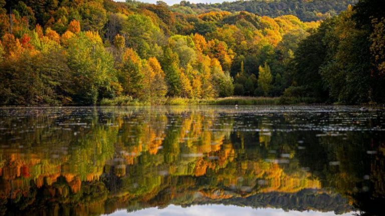 Temperaturen steigen an: Nach Sturmböen ruhigeres Wetter in Niedersachsen