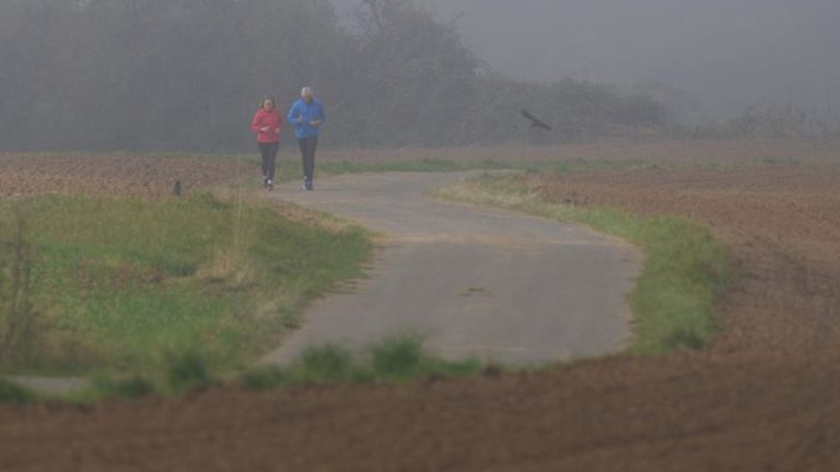 Wetter: Neblig-trübes und herbstliches Wetter – ab Mittwoch milder