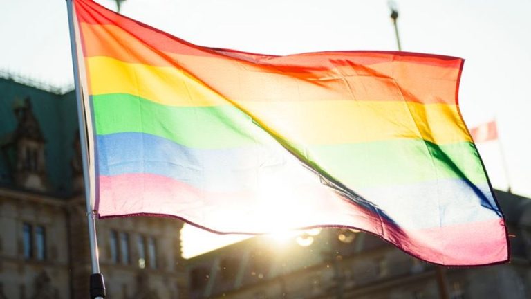 Regenbogenflagge: Demonstration gegen Verbannung der Regenbogenflagge