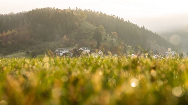 Wetter: Sonne und Nebel in Baden-Württemberg erwartet