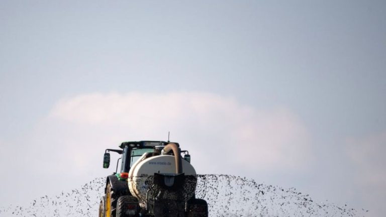 Landwirtschaft: Landwirte besorgt über Gesetzentwurf zu Flächen