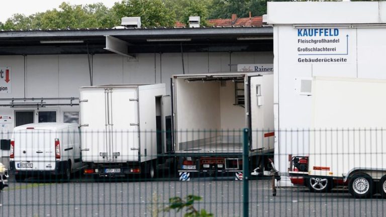 Schlachthof im Fokus: Tierärztin gesteht: Habe Schlachthof vor Kontrollen gewarnt