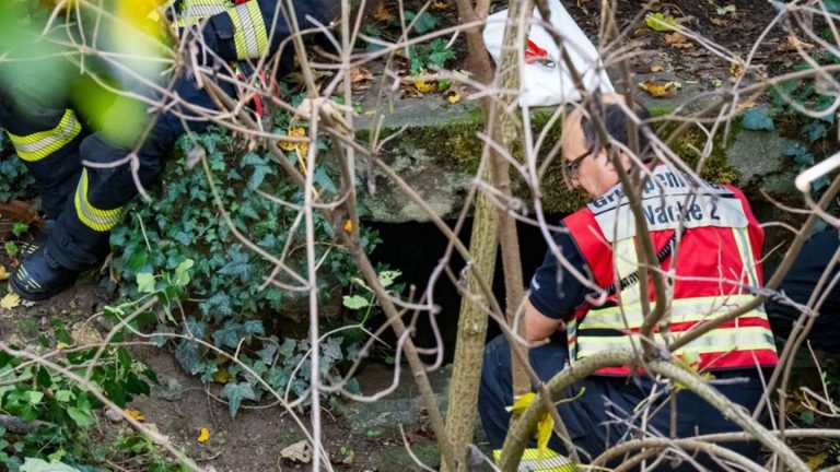 Bei Grünarbeiten: Leiche in Tunnelsystem in Mainz gefunden