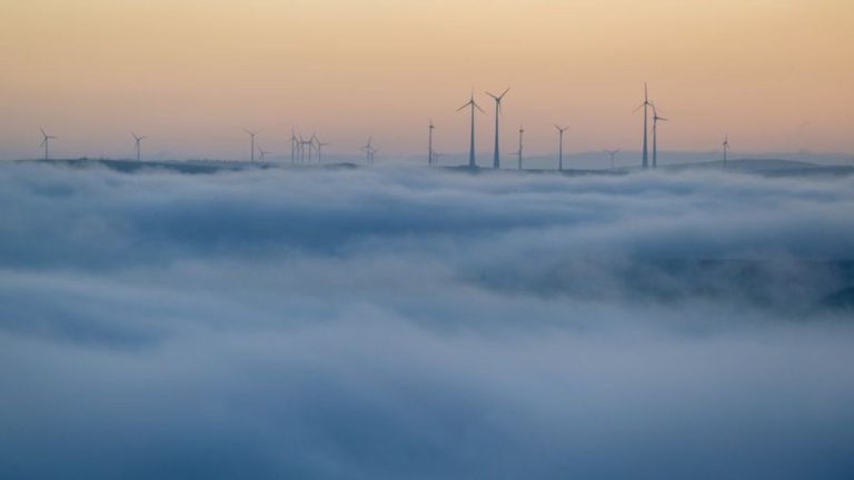 Wetter: Weiterhin Nebel in Rheinland-Pfalz und im Saarland erwartet