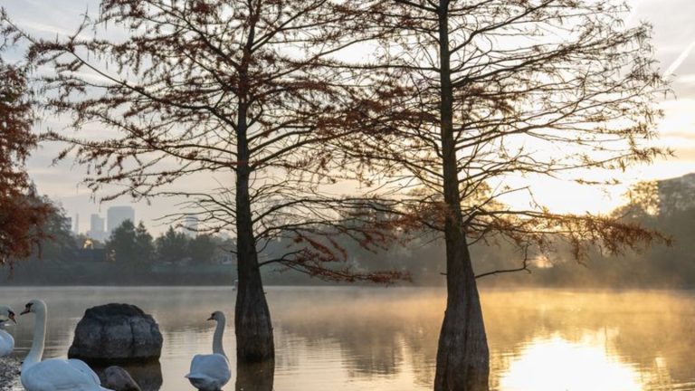 Wettervorhersage: Wetter wird sonnig und trocken zum Wochenende