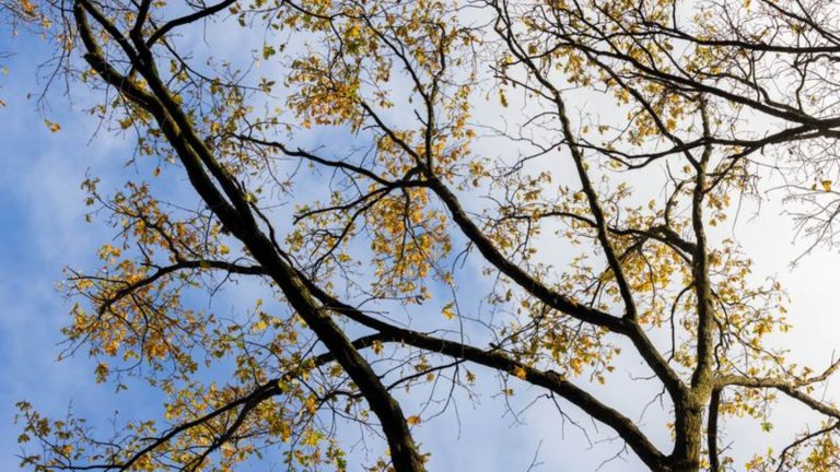 Wetter in Nordrhein-Westfalen: Sonnenschein und teilweise über 20 Grad – Sonntag regnerisch