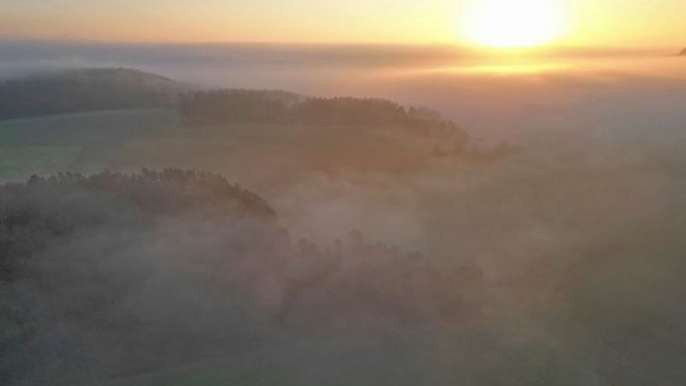 Wetteraussichten: Neblige Aussichten in Sachsen