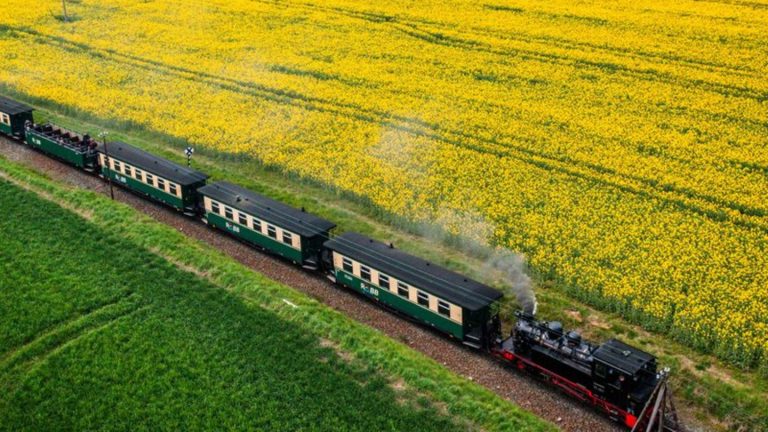 Schmalspurbahn: Rügen: Auto kollidiert mit „Rasendem Roland“