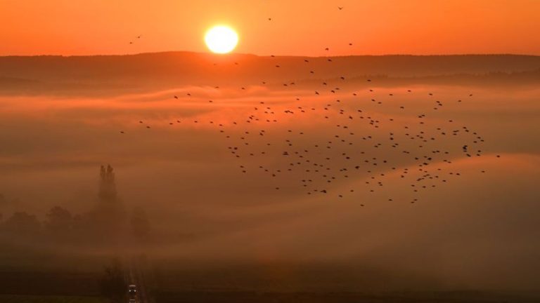 Wetter: Die Aussichten für das Wochenende: Nebel und Sonne