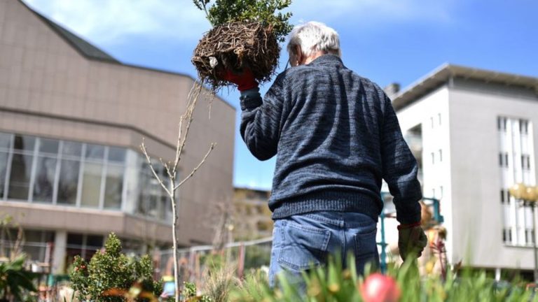 Preis: Auszeichnung für Garten des Wilhelm-Hack-Museums