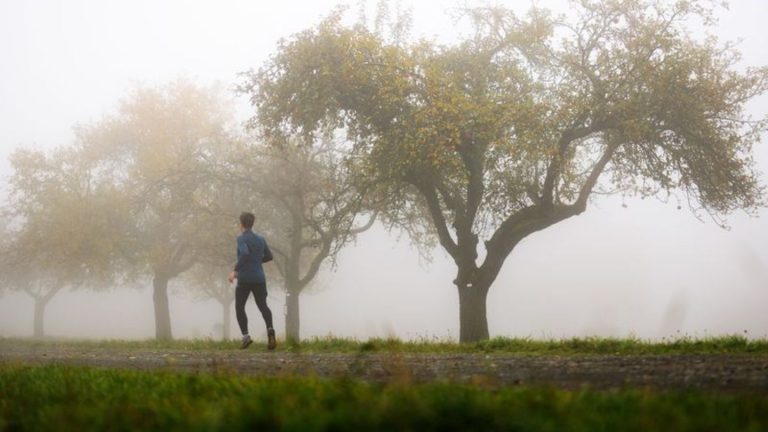 Milde Temperaturen: Wolken und Nebel bestimmen meist Wetter in Hessen