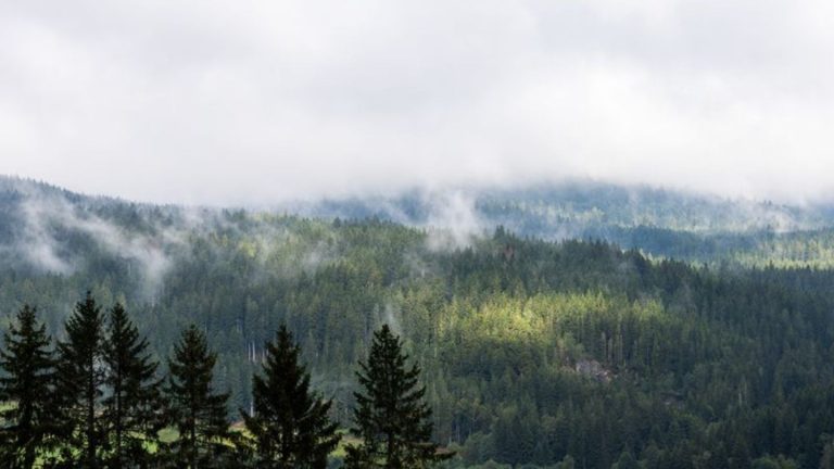 Bergwacht im Einsatz: Frau bricht beim Wandern bewusstlos zusammen und stirbt