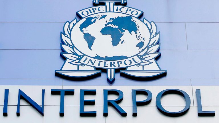 Femizide: Interpol bittet um Hilfe: Wer weiß etwas über diese Frauen?