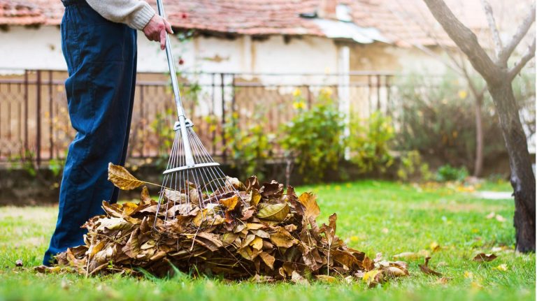 Herbst im Garten: Rasen, Laub und Beete: Hier müssen Gärtner im Oktober dringend ran