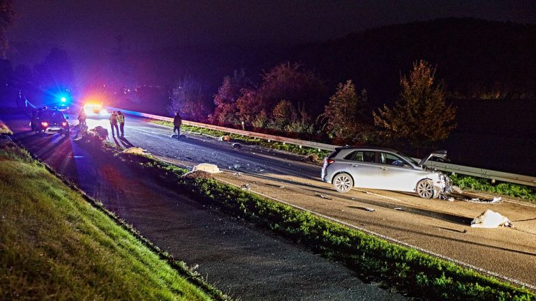 Baden-Württemberg: Schafe verursachen Autounfall auf Bundesstraße – 13 Tiere tot