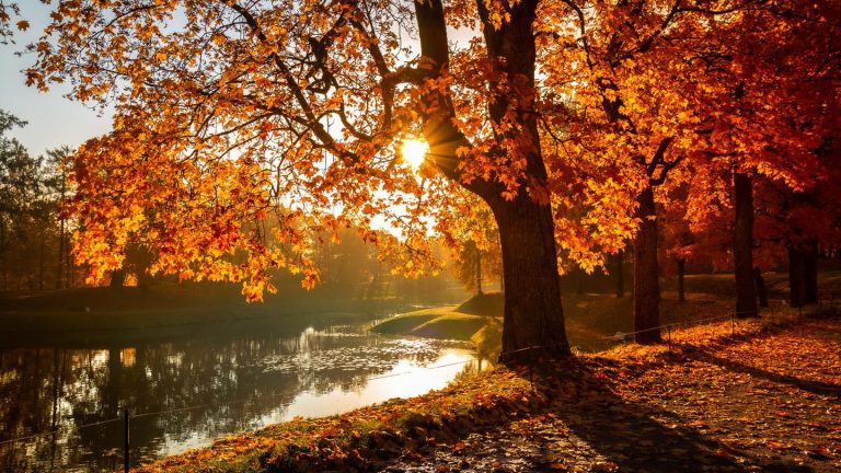 Vorhersage: Höchsttemperaturen zwischen 13 und 20 Grad – so wird das Wetter am Samstag