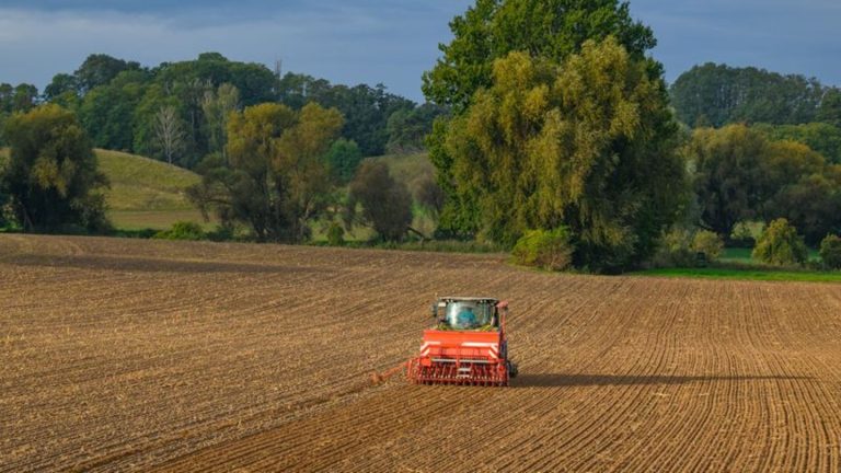 Koalitionsverhandlungen: Bauern: Ernährungssicherheit gehört in Verfassung