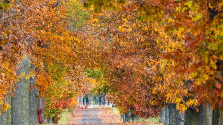 Wetter: Heiter bis wolkig: Wetter in Berlin und Brandenburg