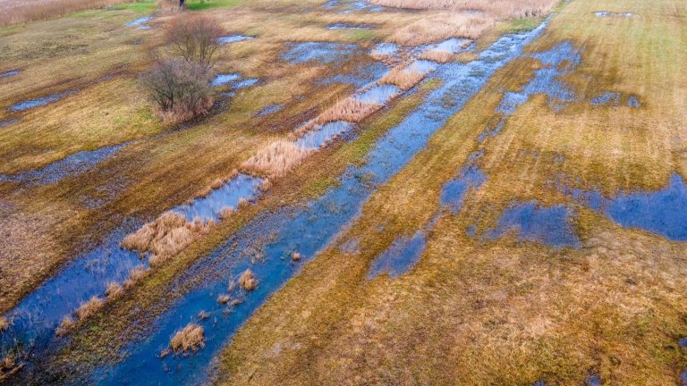 Klimaschutz: Daten zu Treibhausgas-Ausstoß in MV mehrere Jahre alt