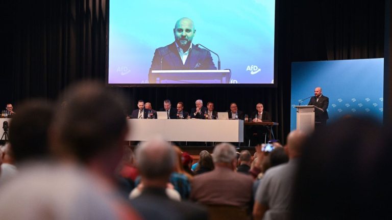 Parteiversammlung: Südwest-AfD führt Parteitage mit Delegierten ein