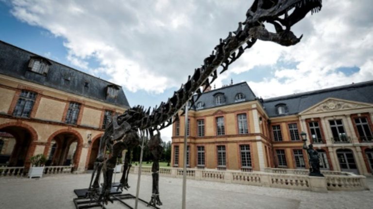 22 Meter langes Dinosaurier-Skelett für sechs Millionen Euro versteigert