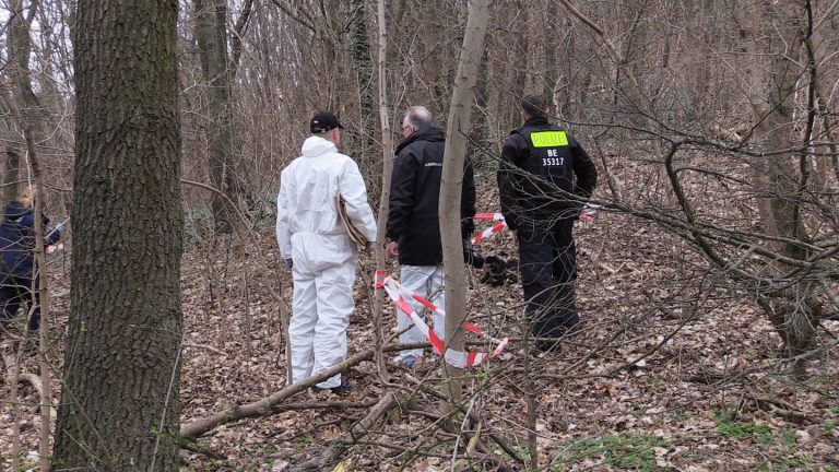 Ungeklärter Kriminalfall: Oberschenkel-Fund in Berliner Park – Leiche fehlt weiterhin