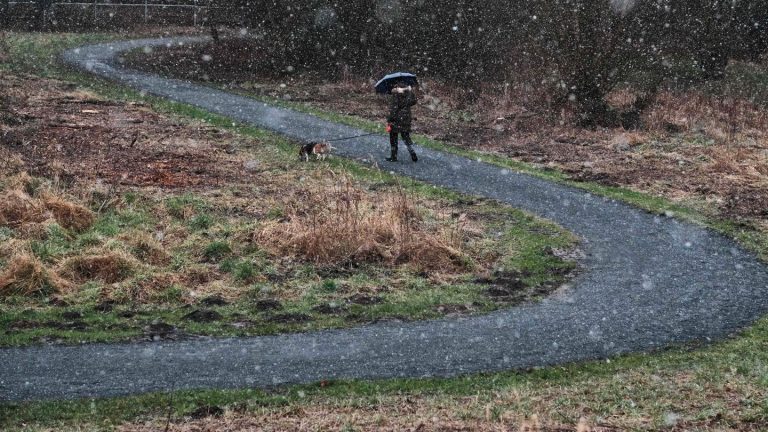 Wetter: Schneeregen und Glätte in Niedersachsen angekündigt