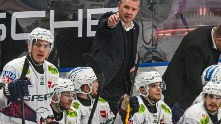 Champions Hockey League: Eisbären-Coach Aubin ist „sehr stolz“ auf CHL-Erfolge