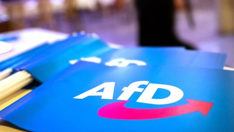 AfD-Landesparteitag: AfD-Landesparteitag beschäftigt sich mit „Remigration“