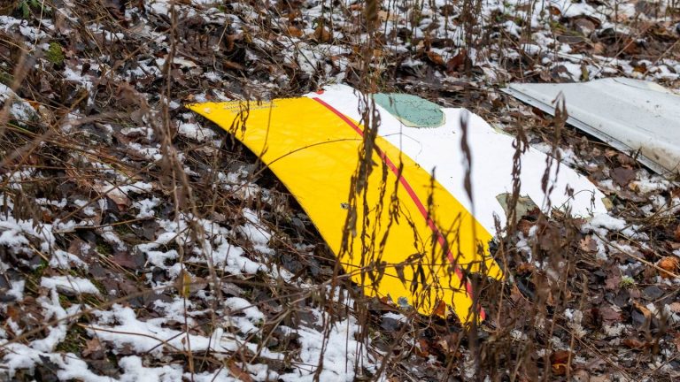 Ermittlungen: Flugzeugabsturz in Litauen: Suche nach Ursache läuft