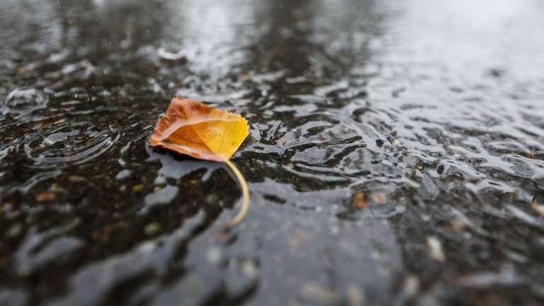 Trübe Aussichten: Wetter zeigt sich regnerisch und teils stürmisch