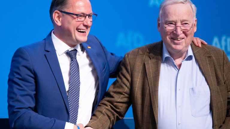 Parteitag: AfD stellt Landesliste für Bundestagswahl auf