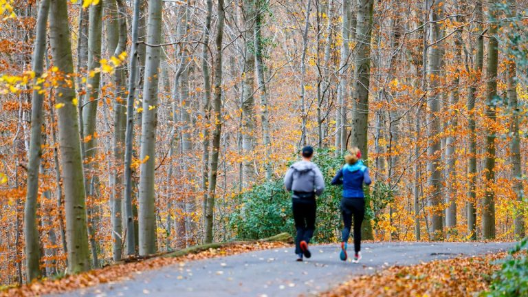 Wetterbilanz: Herbst in NRW: Warm, nass und wenig freundlich