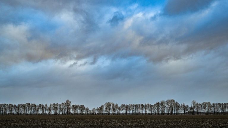 Vorhersage: Bleibt der Schnee oder folgt Sonnenschein? So wird das Wetter am Samstag