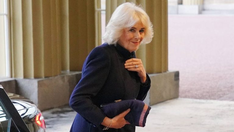 Königin Camilla: Trotz Pneumonie strahlend bei Staatsbesuch