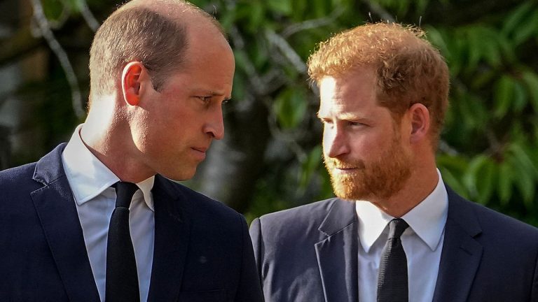 Auszeichnung: Diana Award: William und Harry gratulieren getrennt