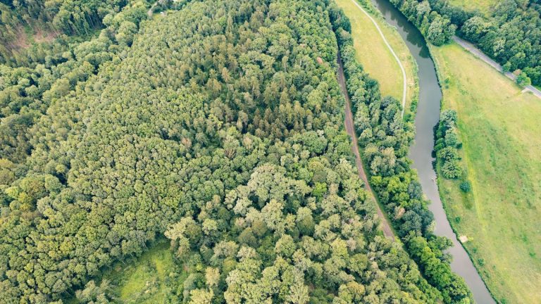 Notfälle: Fast 450 Vermisste in Sachsen – Zwei spektakuläre Fälle 2024